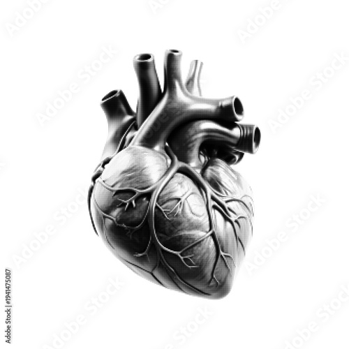 Halftone human heart anatomy illustration with dotted texture. Detailed monochrome medical organ isolated on white background, cardiology, healthcare and anatomy science concept.