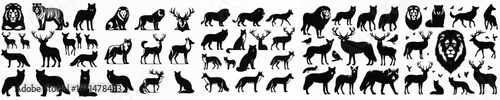 Vector set image silhouette of animal
