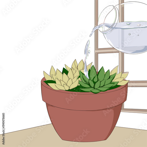Minimalist Succulent Self Watering Globe Illustration