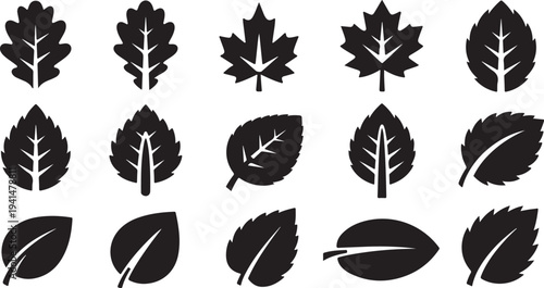 Collection of various black leaf silhouettes on white background