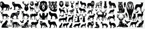 Vector set image silhouette of animal