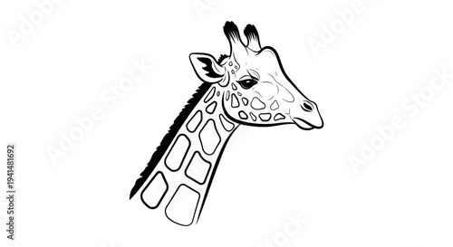 A black and white line art drawing of a giraffe's head and upper neck, showing its distinctive spots and features.