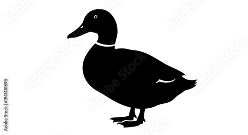 A black silhouette of a duck standing on a white background, depicted in a simple graphic style.