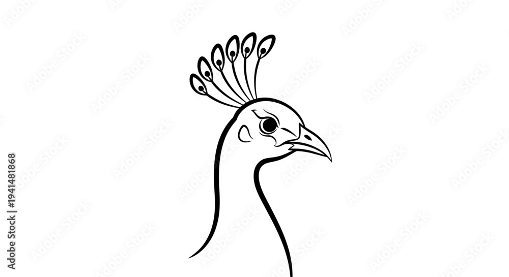 Fototapeta premium Elegant black and white line art drawing of a peacock's head with its distinctive crest.