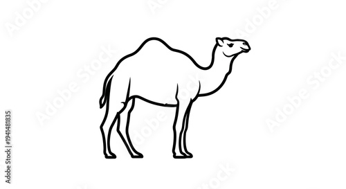 Simple black and white line art illustration of a dromedary camel standing, depicted in profile view.