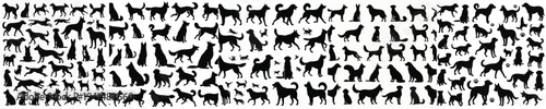 Vector set image silhouette of dog