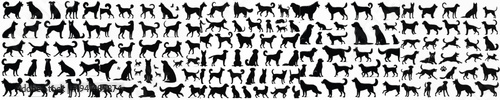 Vector set image silhouette of dog