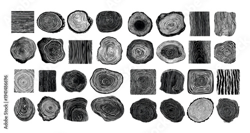 Wooden slices rings black ink sketch vector set. Organic tree trunk cross sections rustic timber wood texture forest nature material element isolated on white background