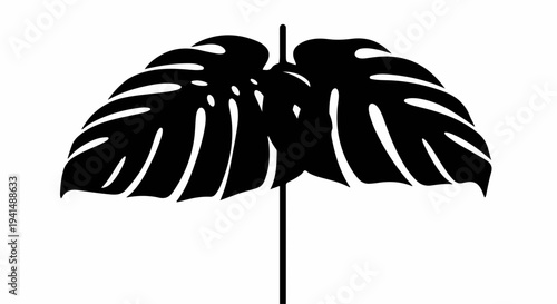 Silhouette of tropical Monstera leaves against a clean white background, evoking nature and elegance.