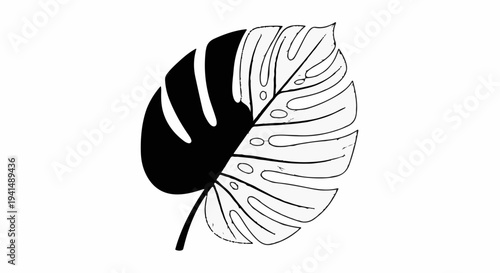 Stylized split leaf illustration, half black, half outlined, on white background