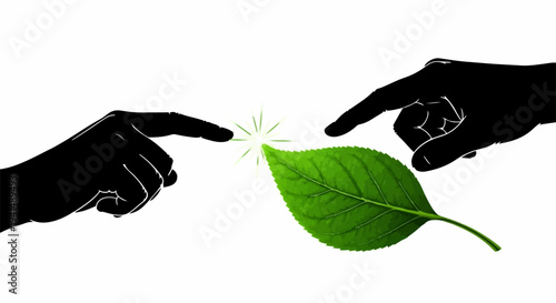 Two hands reaching out to touch a vibrant green leaf, symbolizing connection and nature.