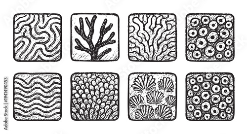 Eight hand-drawn square tiles showcase a variety of organic textures, including waves, cells, coral, and shells, perfect for backgrounds or design elements.