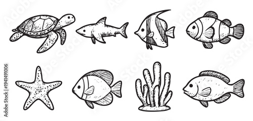 A collection of hand-drawn sea creatures including a turtle, shark, fish, coral, and starfish in black ink on a white background, perfect for illustrations.