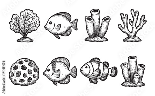 Set of vector hand-drawn marine life illustration in black ink. Isolated fish and coral reef elements for design, underwater illustration, or marine concept.
