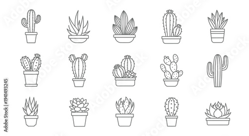 Variety of potted cacti and succulents in a minimalist line art silhouette