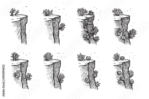 Hand-drawn illustration showing the evolution of plant growth on a cliffside, from initial sprouts to mature clusters, creating a visual representation of ecological development.