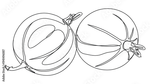 Fresh gooseberry berries one line drawing of whole and sliced fruit silhouette
