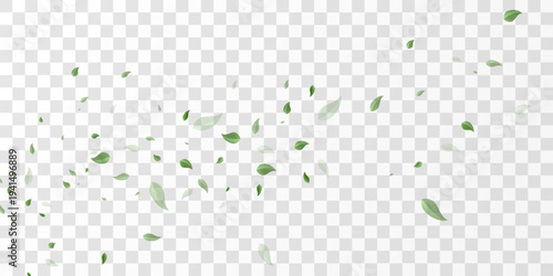 Natural green leaves flying swirl isolated on transparent background, eco nature backdrop PNG