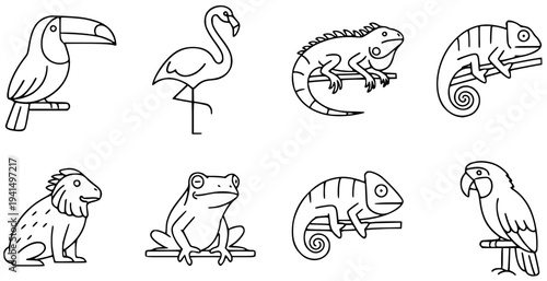 Tropical Animals Line Art Set, Toucan Flamingo Iguana Chameleon Lion Frog Parrot Outline, Minimal Wildlife Vector Illustration