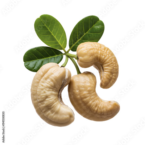 Fresh Cashew Nuts with Green Leaves Isolated on White Background for Healthy Snack Branding and Organic Food Packaging.
