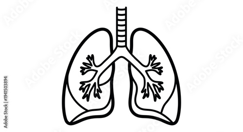 Human Lungs Anatomy Illustration Outline.