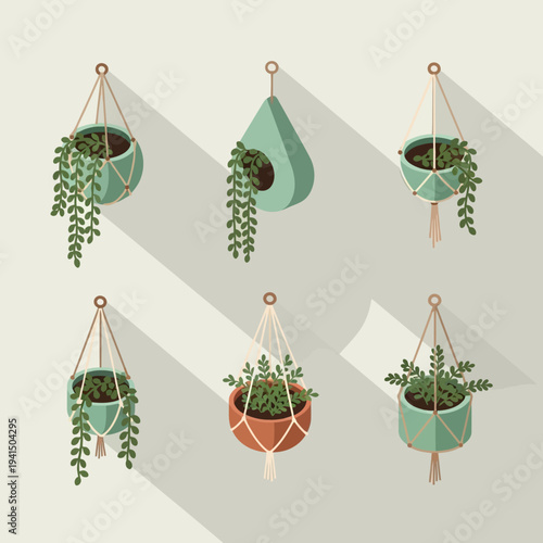 Collection of Six Hanging Potted Plants with Macrame Hangers.