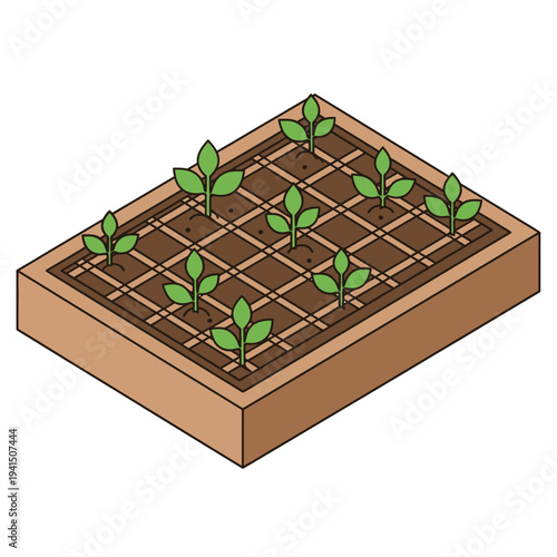 Small Plants Growing in a Raised Garden Bed.