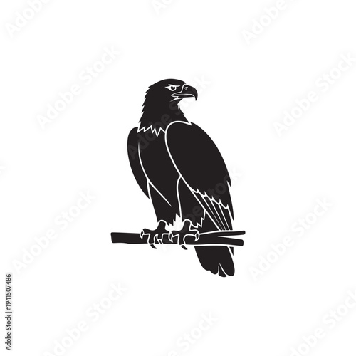 crow on a branch