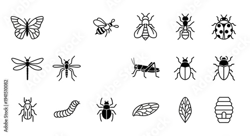 Insects and bugs icons for design and education