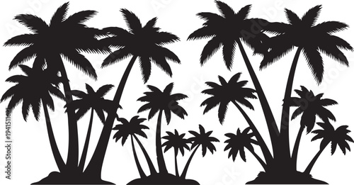 Black Silhouette of Palm Trees on White Background Illustration