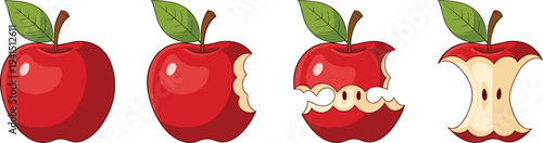 Apple eating stages whole apple bitten apple half eaten and apple core fruit vector illustration sequence set