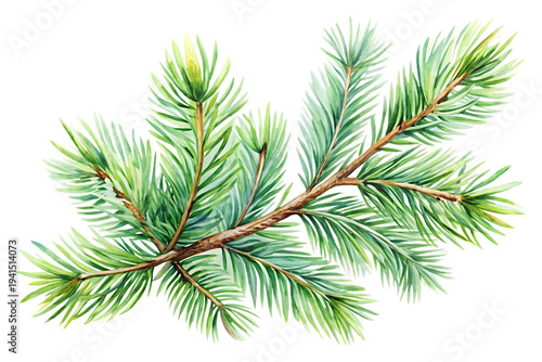 pine branch with cones image isolated on transparent background