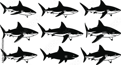 Collection of black shark silhouettes featuring various predatory fish poses for marine life oceanic research and aquatic nature design elements,