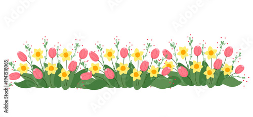 Tulips and daffodils flower horizontal flowerbed edge in flat cartoon  design. Spring seasonal bouquet border with tulip and narcissus blossom, delicate ornament for greeting card. Vector illustration
