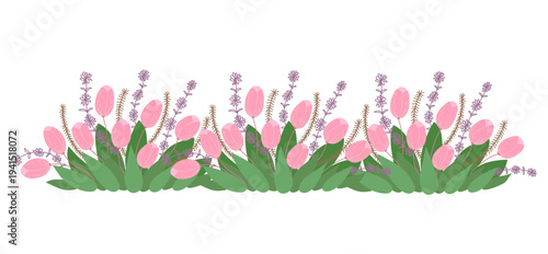 Pink tulips and salvia flower horizontal flowerbed edge on field in flat cartoon  design. Spring seasonal bouquet border with blossoms and leaves, ornament for greeting card. Vector illustration