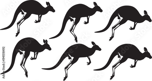 Set of kangaroo silhouettes in different running positions isolated