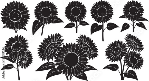 Black and white sunflower illustrations on plain background