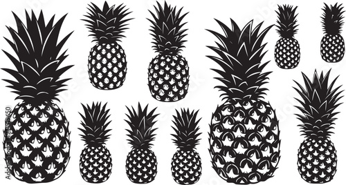 Black and white illustration of multiple pineapples on display