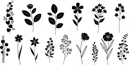 Collection of wine bottles glasses cheese wedges grapes olives and baguette bread for restaurant menu and wine tasting event design,