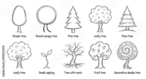 Hand Drawn Trees and Nature Icon Set Doodle Style Forest Pine and Decorative Garden Symbols