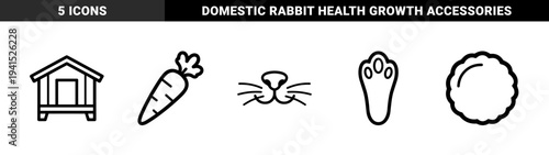 Rabbit care and pet ownership essential elements. Minimalist monoline pictograms featuring carrot, hutch, whiskers, pompon tail, and paw print for veterinary guides.