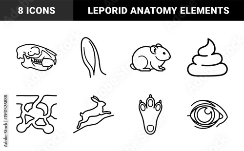 Lagomorph biology and leporid anatomy research elements for educational materials. Minimalist monolinear graphics featuring rabbit physiology and burrowing habitat concepts.