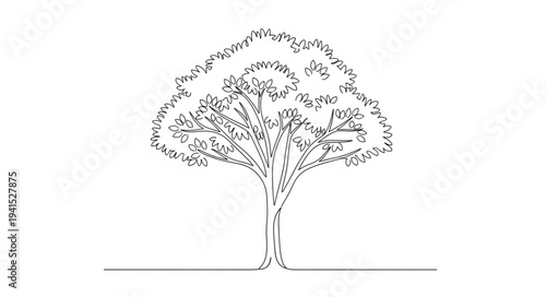 Elegant Line Drawing of a Tree with Detailed Foliage.