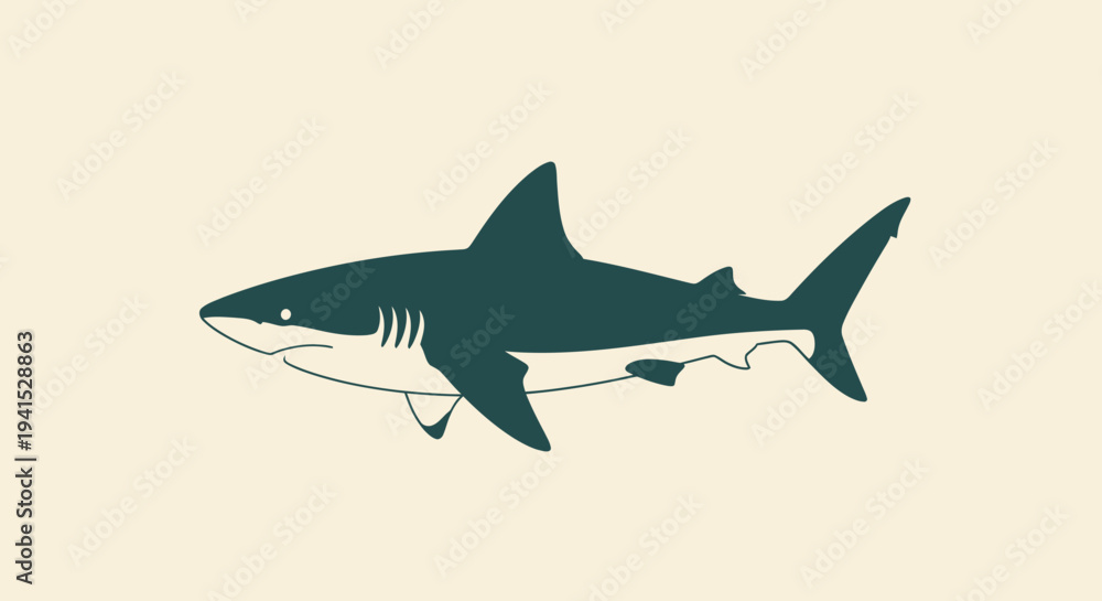 Fototapeta premium Illustration of a Great White Shark.