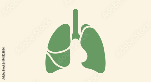 Human Lungs Anatomy Illustration.