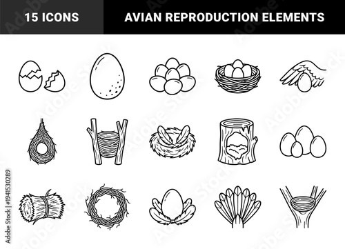 Avian nesting and reproduction cycle line art. Hand-drawn minimalist illustrations of bird nests, eggs, feathers, and natural habitats for ecological education.
