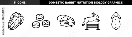 Rabbit anatomy and pet care line art featuring leporid skull, nutritional pellets, leafy greens, and active jumping behavior. Minimalist monoline technical illustrations for veterinary education.