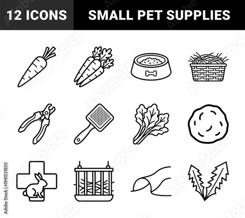 Rabbit care and small pet ownership essentials in a technical monoline style. Minimalist black and white pictograms for veterinary clinics and animal welfare.
