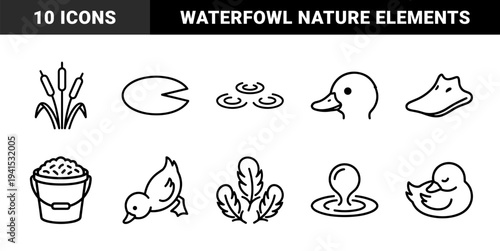 Waterfowl and pond life monoline silhouettes for nature education. Uniform stroke weight pictograms featuring ducks, cattails, and lily pads.