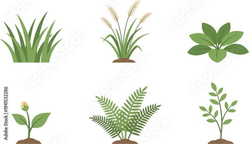 Simple Flat Illustration of Various Plant and Grass Nature Element Set